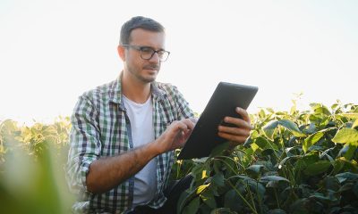 Declarando a Atividade Rural no IRPF 2025: Com eBook Grátis