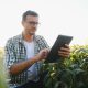 Declarando a Atividade Rural no IRPF 2025: Com eBook Grátis