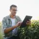 Declarando a Atividade Rural no IRPF 2025: Com eBook Grátis