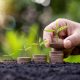 Reforma Tributária e o Agro: Novo IVA Traz Benefícios, Mas Exige Adaptação e Cautela do Produtor