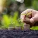 Reforma Tributária e o Agro: Novo IVA Traz Benefícios, Mas Exige Adaptação e Cautela do Produtor